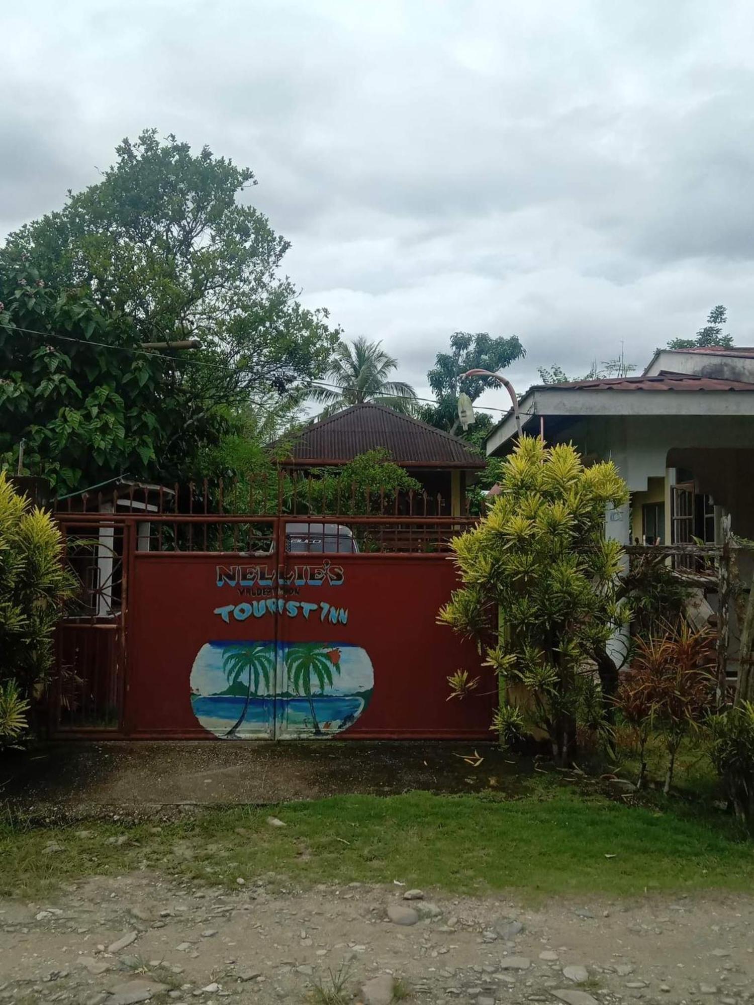 Nellie'S Tourist Inn- Port Barton San Vicente  Zewnętrze zdjęcie